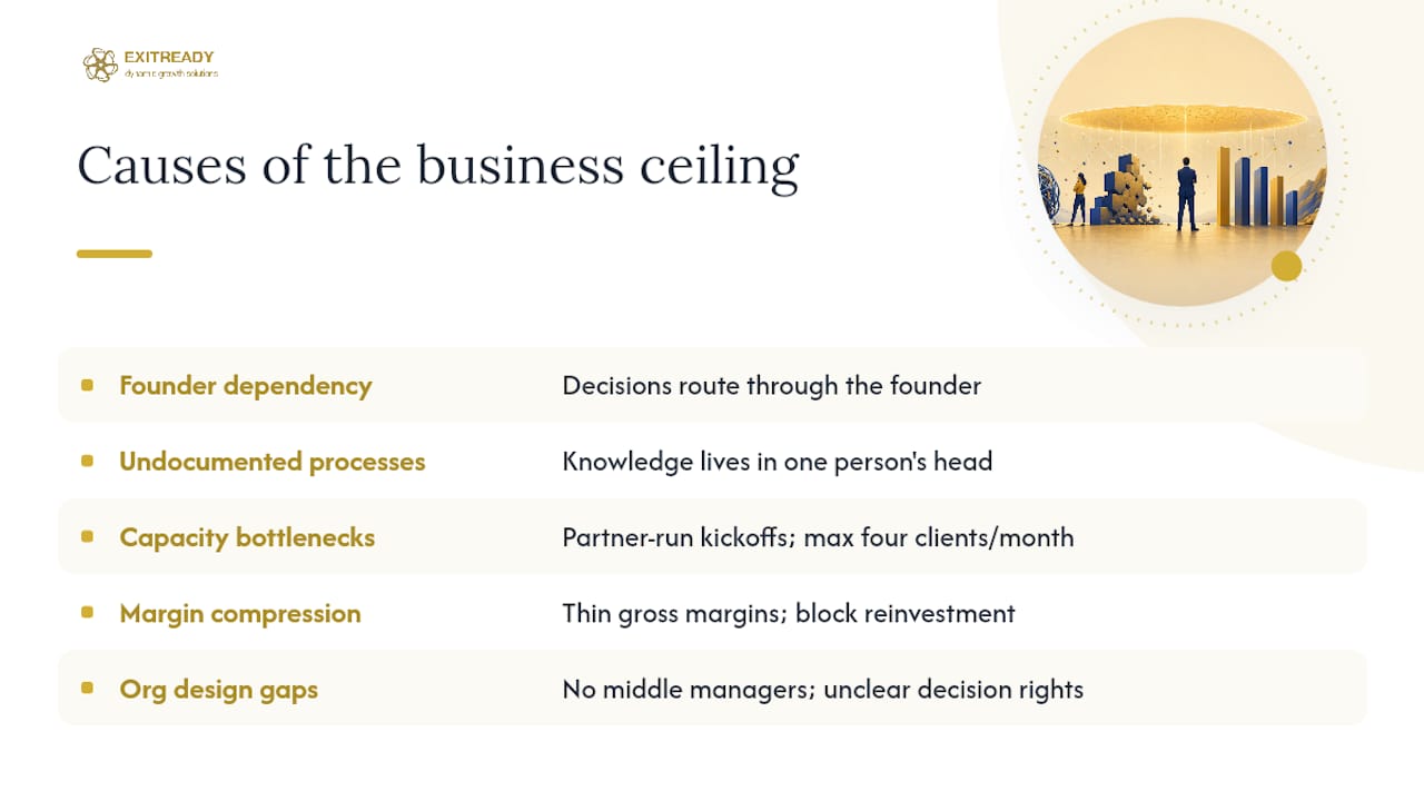 Icons representing five causes of business ceiling effect